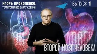 ВТОРОЙ МОЗГ ЧЕЛОВЕКА! Территория без заблуждений. 1 выпуск