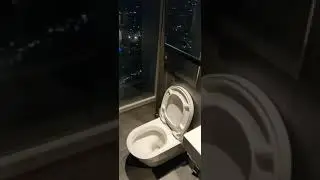 A toilet in the Shard