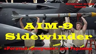 AIM-9 Sidewinder. «Рогатый гремучник» для Украины