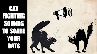 Cat Fighting Sounds to Scare Cats #1