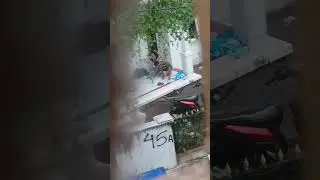 kelakuan bocil jaman now : jam sekolah malah?!!