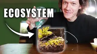 How To Make A Terrarium In 8 Easy Steps