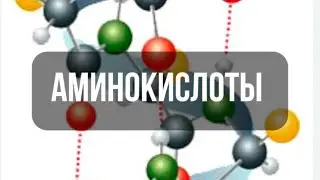 АМИНОКИСЛОТЫ . Что это и с чем это едят? #обучениепарикмахеров #новосибирск #реконструкцияволос