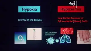 Hypoxia vs. Hypoxemia