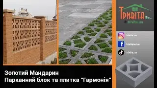 Золотий Мандарин Парканний блок та плитка "Гармонія"