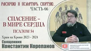 Часть 66 цикла бесед иерея Константина Корепанова Раскрою я Псалтырь святую...   (29.01.2024)