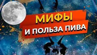 Сказки Пивного Леса - Мифы о Пиве и Польза