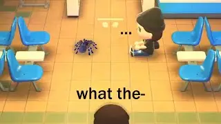 Best Animal Crossing Clips Of 2020