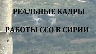 КАДРЫ БОЕВОЙ РАБОТЫ СИЛ СПЕЦНАЗА ССО РОССИИ В СИРИИ