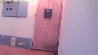 Видео с кошкой, звонящей в дверь, взорвало интернет