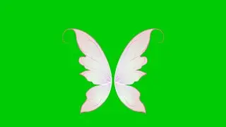 Animated 3D Beautiful pink Angel Butterfly wings with green screen background | 4K