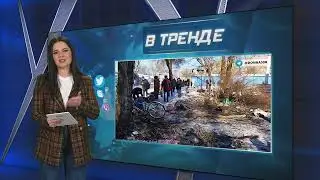 Донецк. Текстильщик. Вся правда | В ТРЕНДЕ