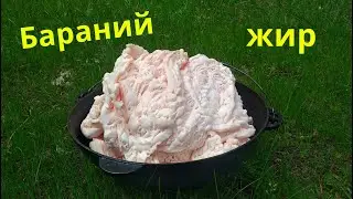 Как использовать бараний жир  Бараний жир применение