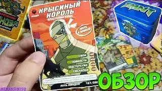REVIEW - NINJA TURTLE 2003 WAY OF THE NINJA CARDS: THE BATTLE FOUR FROM 2010