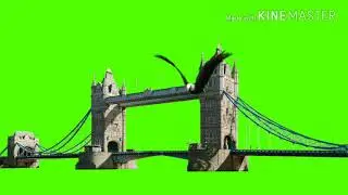 Green screen effect bridge best to