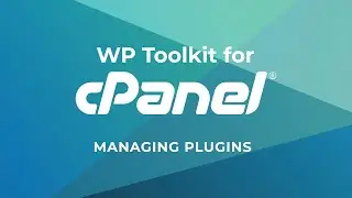 How to Install Wordpress Themes and Plugins Using WordPress Toolkit