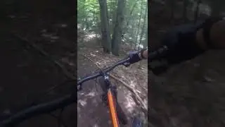 Downhill mountain biking #shorts #mtb #biking #mountainbiking