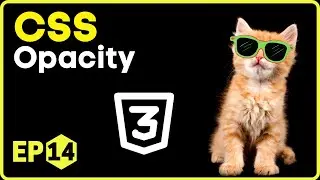 CSS Opacity | CSS in Hindi - 14 #css3