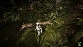 Testing fern physics - Unity HDRP