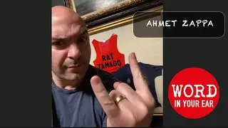 Ahmet Zappa: what's life like when Frank’s your father?