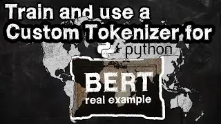 Set-up a custom BERT Tokenizer for any language