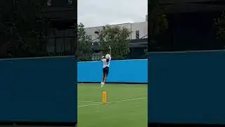 Quentin Johnston One Handed Catch