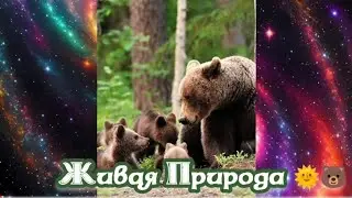 Живая Природа Жизнь продолжается 🐻🌞 17.11.2023. 🌚⚡🌞🔥