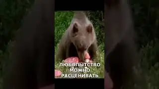 ДОФАМИН | ГАЙД ПО ДОФАМИНУ | КАК ПОЧУВСТВОВАТЬ ДОФАМИН? | МОТИВАЦИЯ И ДРАЙВ 🅰 