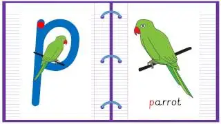 Lowercase Alphabet Letter P Learn to Read and Write