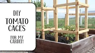 Making Tomato Cages for my Raised Garden Beds // DIY // ClutteredCorkBoard