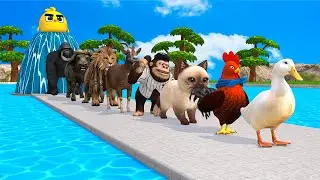 Paint & Animals Duck,Gorilla,Lion,chicken,Cow,Sheep Fountain Crossing Transformation Animal Cartoon