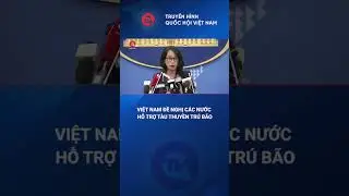 Việt Nam đề nghị các nước hỗ trợ tàu thuyền trú bão | Truyền hình Quốc hội Việt Nam
