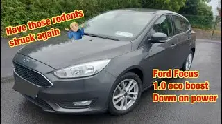 Focus 1.0 eco boost, no boost