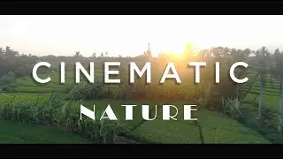 Into The Nature | Cinematic Photography | Nature Photography | Cinematic Nature