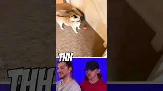 Try not to 