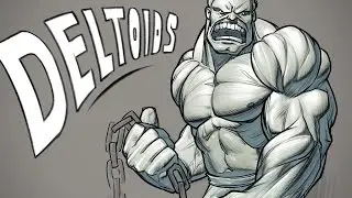 How to Draw Deltoids - Anatomy for Artists