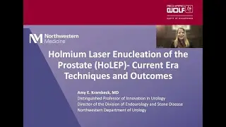 Holmium Laser Enucleation of the Prostate (HoLEP)—Current Era Techniques and Outcomes