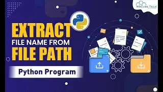 Python Program to Get the File Name From the File Path - Complete Python Program🐍