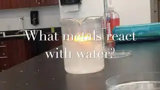 What Metals React With Water? - Ms. Frizzle Explains