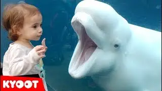 Funny Kids at the Aquarium | Girl SPOOKED By A Beluga Whale!