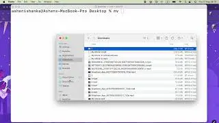 Moving files and directories using the Terminal