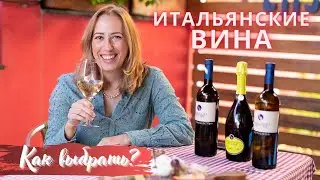 Итальянские вина//классификация//сложности выбора