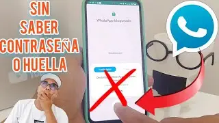 Espiando conversaciones de WhatsApp Plus: ¿Cómo funciona?