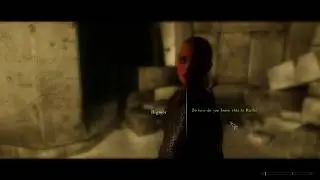 SKYRIM: Sneaking Back Into Bruma