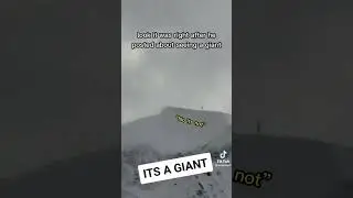 Tiktoker goes MISSING after seeing a GIANT? 