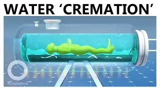 Aquamation (Water Cremation): The Eco-Friendly Burial Chosen by Desmond Tutu