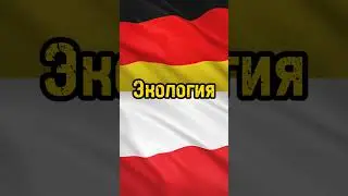 Германия🇩🇪VS🇵🇱Польша #рекомендации