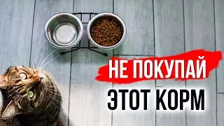 Как за 5 секунд отличить хороший корм для кошек от плохого