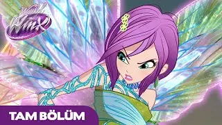 World of Winx | TÜRKÇE | S1 Bölüm 8 | Şaman | TAM BÖLÜM
