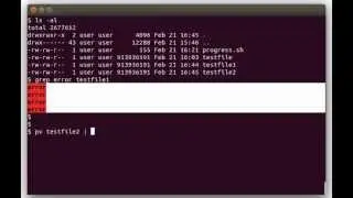 Show status progress in Linux Shell Scripts